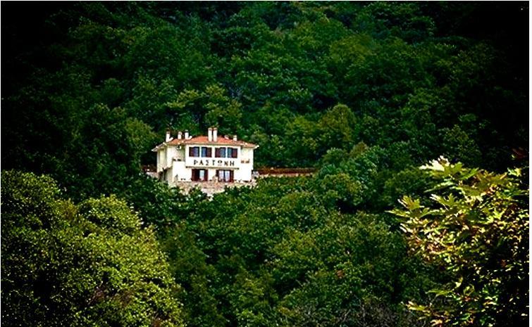 Hotel Rastoni Pelion à Vizitsa Extérieur photo