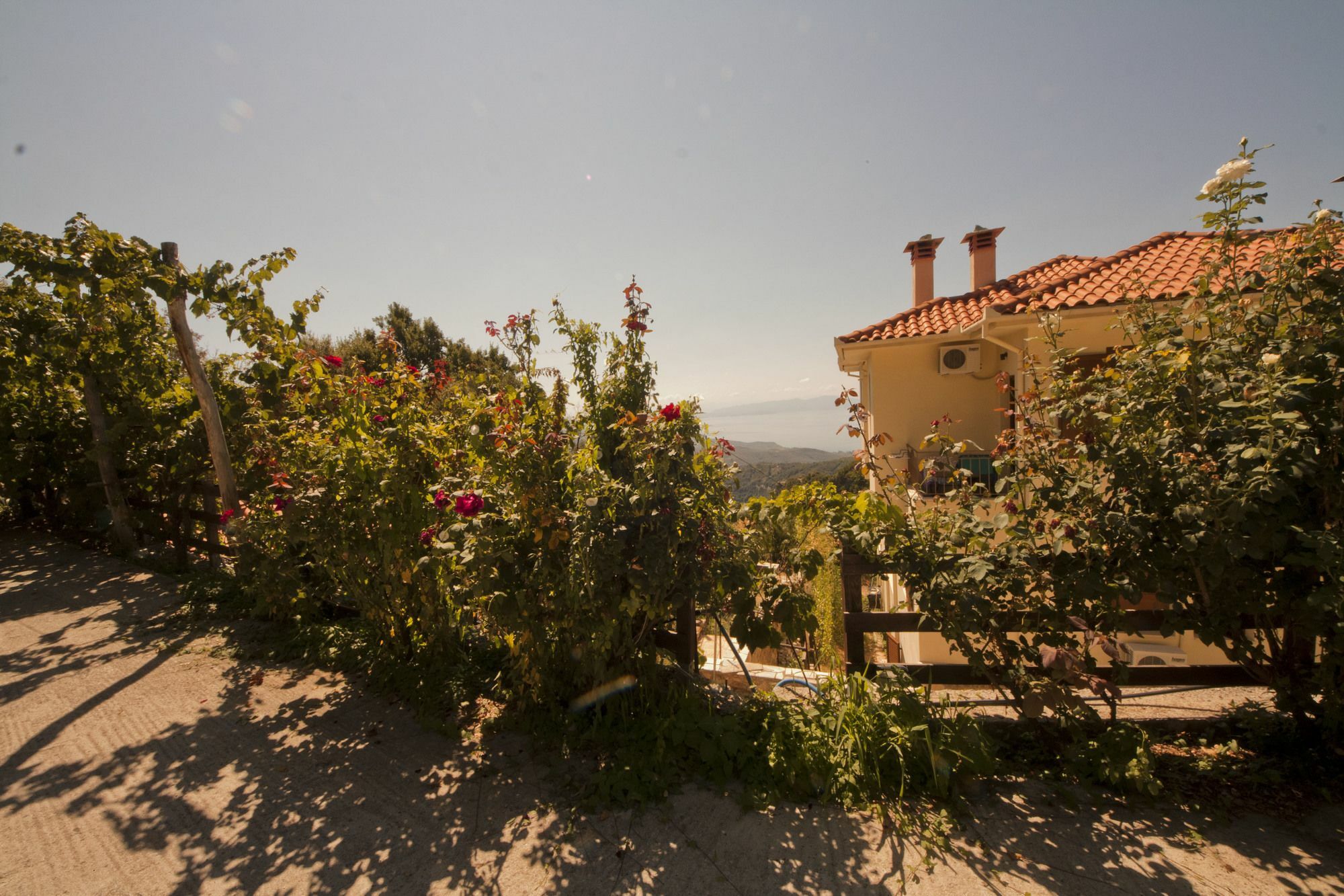 Hotel Rastoni Pelion à Vizitsa Extérieur photo